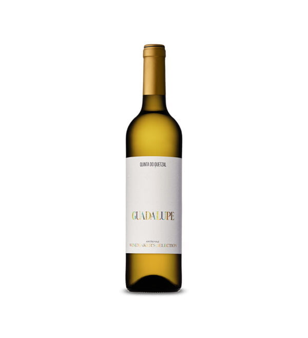Guadalupe Winemaker's Selection | Branco